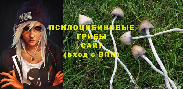 тгк Нефтегорск